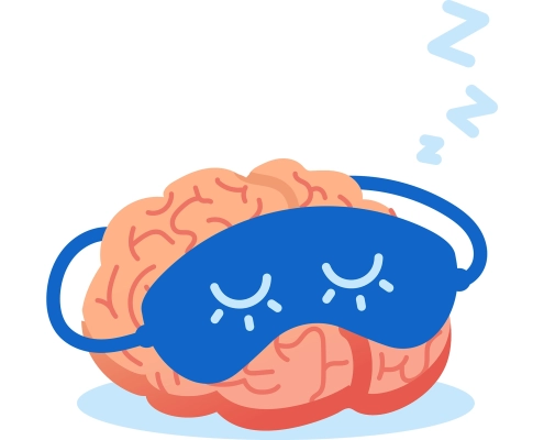 Tegning av en hjerne som sover med sovemaske på.